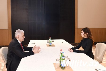 Birinci vitse-prezident Mehriban Əliyeva Türkiyənin Baş naziri Binəli Yıldırım ilə görüşüb - FOTO