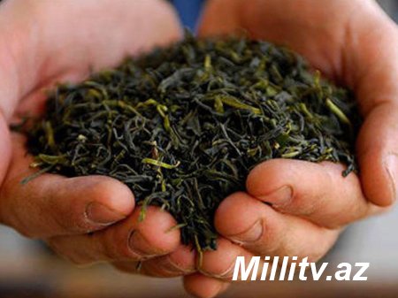 Rusiya Azərbaycana çay məhsullarının ixracını 60 faiz artırıb