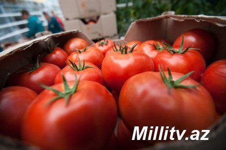Rusiya 15,5 ton pomidoru Azərbaycana qaytardı
