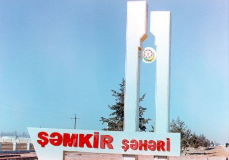 Şəmkirdə sahibkarın 1 hektarının pulu mənimsənildi - GİLEY