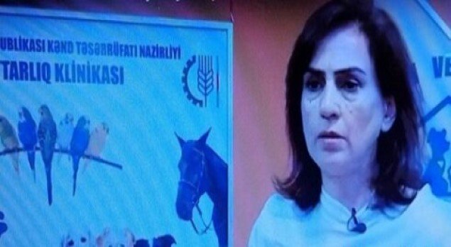 İnstitut direktoru Sialə Rüstəmovanın qlamur həyatı - Brend şubalar, obyektlər...